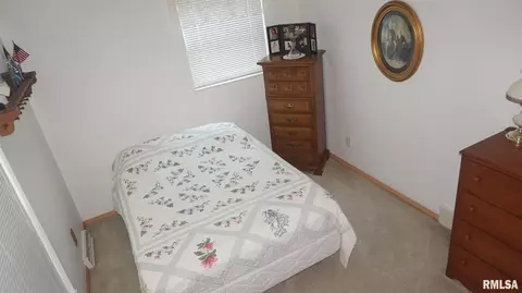 1 Comanche Dr, Mcclure, IL 62957 photo 8