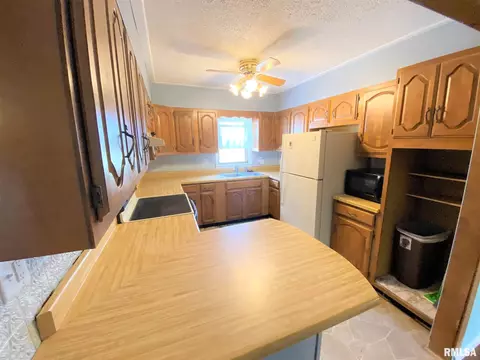 321 E Lincoln Ave, Flora, IL 62839 photo 18