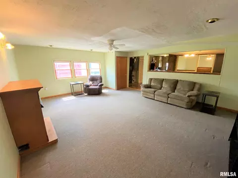 321 E Lincoln Ave, Flora, IL 62839 photo 24