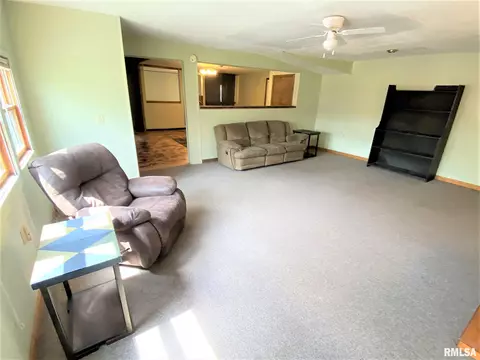 321 E Lincoln Ave, Flora, IL 62839 photo 26