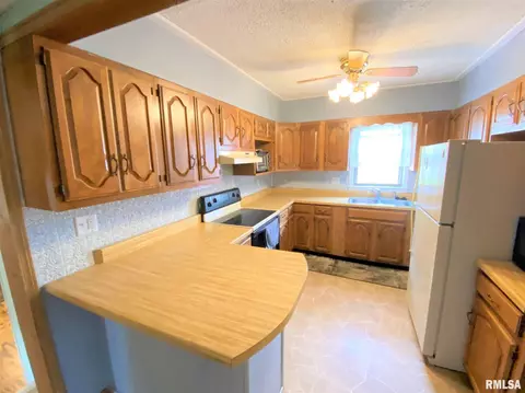 321 E Lincoln Ave, Flora, IL 62839 photo 17