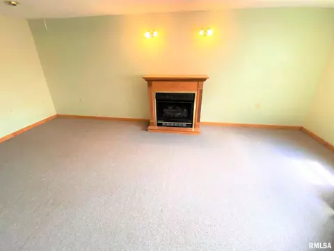 321 E Lincoln Ave, Flora, IL 62839 photo 25
