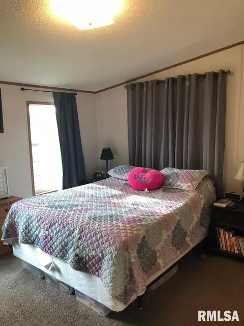 804 Tyler Ave, Sandoval, IL 62882 photo 16