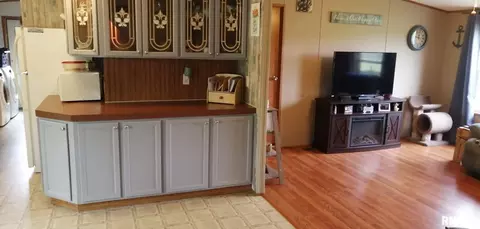 804 Tyler Ave, Sandoval, IL 62882 photo 14