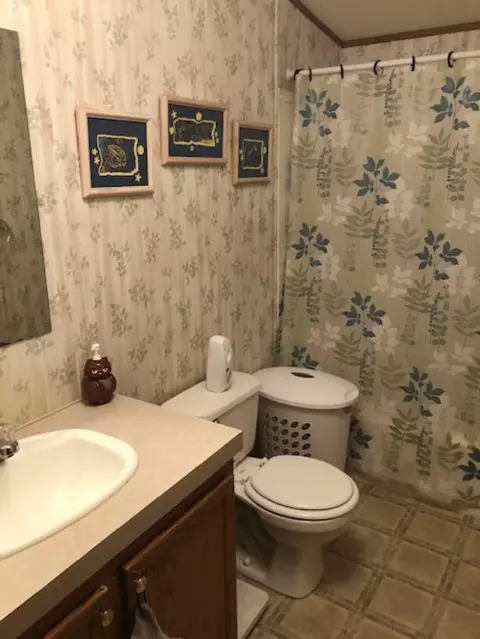804 Tyler Ave, Sandoval, IL 62882 photo 21