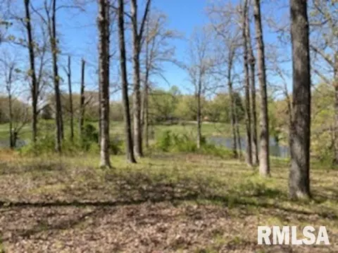 12389 Marks Ln, Marion, IL 62959 photo 1