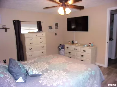 609 N Victor St, Christopher, IL 62822 photo 17