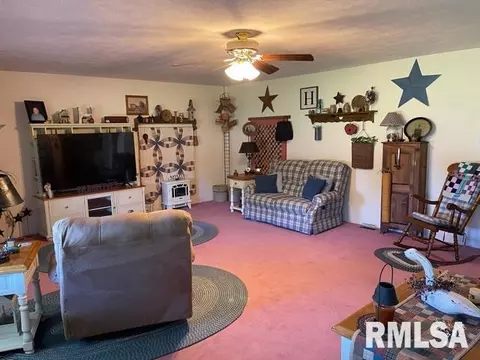 11902 Greg St, Sesser, IL 62884 photo 24