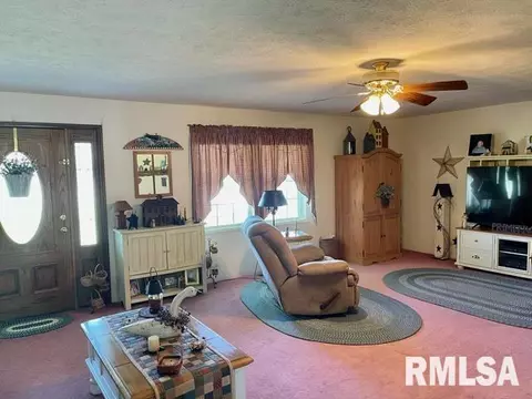 11902 Greg St, Sesser, IL 62884 photo 25
