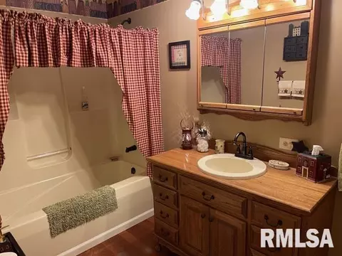 11902 Greg St, Sesser, IL 62884 photo 21
