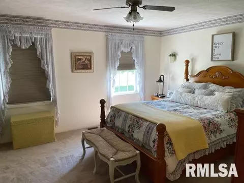 11902 Greg St, Sesser, IL 62884 photo 20