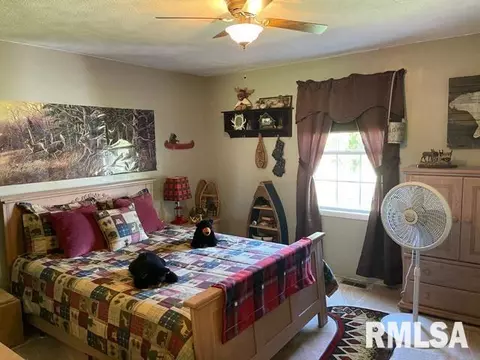 11902 Greg St, Sesser, IL 62884 photo 16