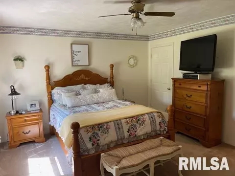 11902 Greg St, Sesser, IL 62884 photo 17