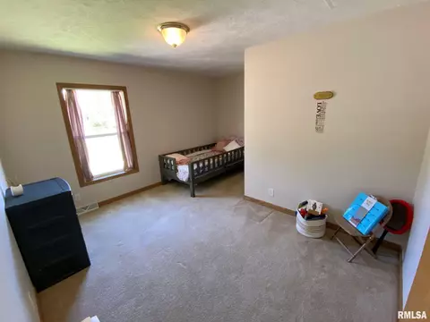 410 Mcfall St, Benton, IL 62812 photo 19
