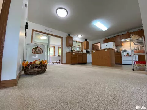 410 Mcfall St, Benton, IL 62812 photo 30