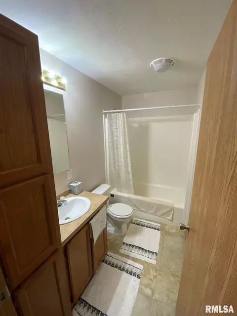 410 Mcfall St, Benton, IL 62812 photo 21