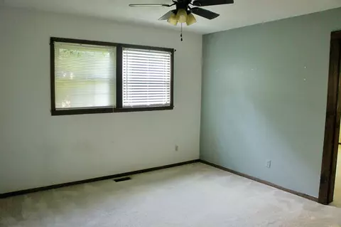 40 Chick St, Metropolis, IL 62960 photo 19