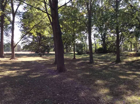 15075 E Reef Rd, Mount Vernon, IL 62864 photo 20