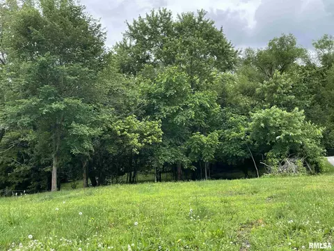 602 N State St, Christopher, IL 62822 photo 7