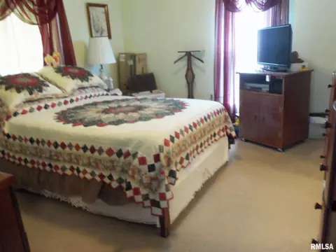709 S Mulkey St, Christopher, IL 62822 photo 21