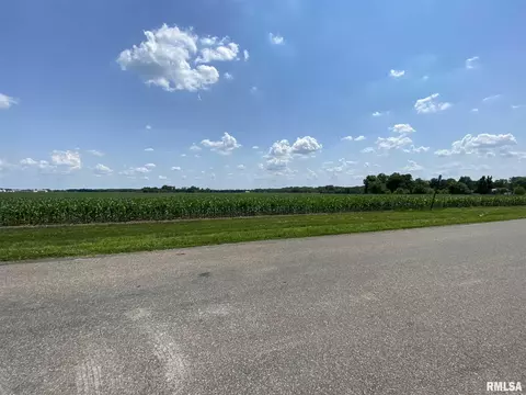 607 East Dr, Flora, IL 62839 photo 42