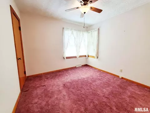 516 S Linden, Centralia, IL 62801 photo 28