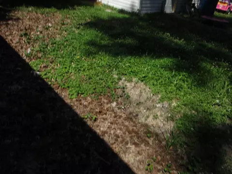 604 S 1st St, Benton, IL 62812 photo 23