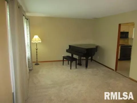 1311 Nelms Ave, Centralia, IL 62801 photo 4
