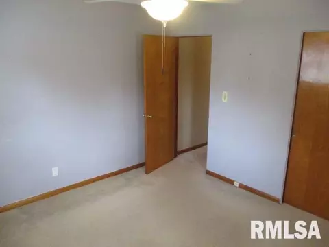 1311 Nelms Ave, Centralia, IL 62801 photo 11