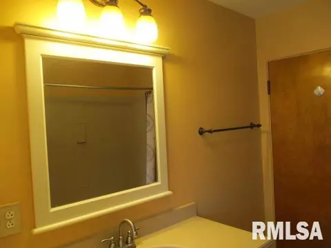 1311 Nelms Ave, Centralia, IL 62801 photo 19