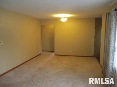 1311 Nelms Ave, Centralia, IL 62801 photo 8