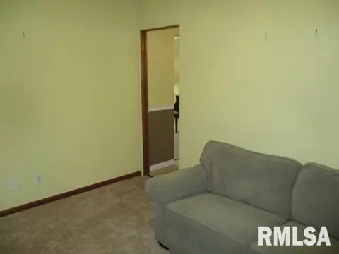 1311 Nelms Ave, Centralia, IL 62801 photo 17