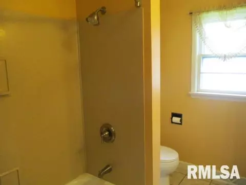 1311 Nelms Ave, Centralia, IL 62801 photo 23