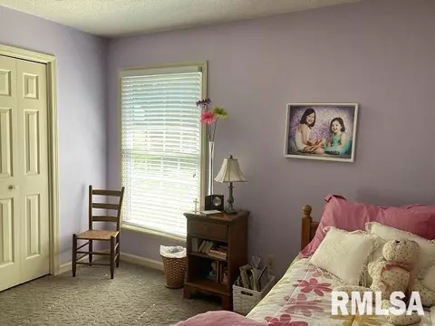 1812 Wolff Dr, Marion, IL 62959 photo 23