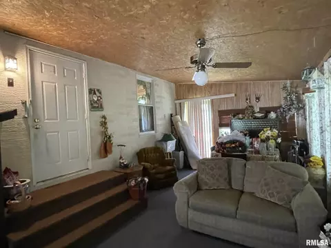 719 E Taylor St, Benton, IL 62812 photo 24