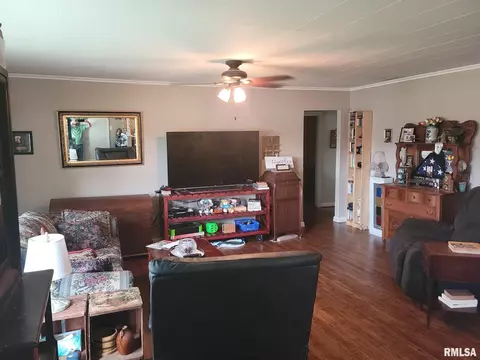 304 Bailey Ln, Benton, IL 62812 photo 9