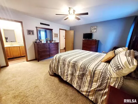 317 Aladar St, O'fallon, IL 62269 photo 32