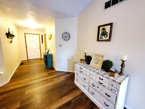 317 Aladar St, O'fallon, IL 62269 photo 10
