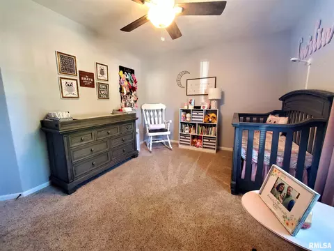 317 Aladar St, O'fallon, IL 62269 photo 28