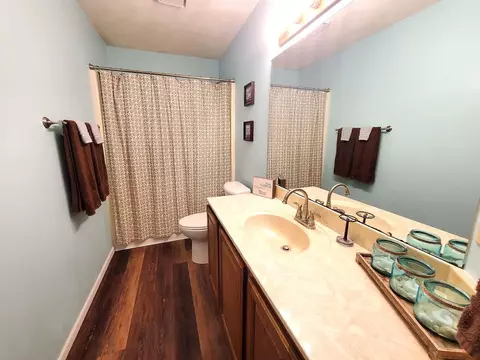 317 Aladar St, O'fallon, IL 62269 photo 40