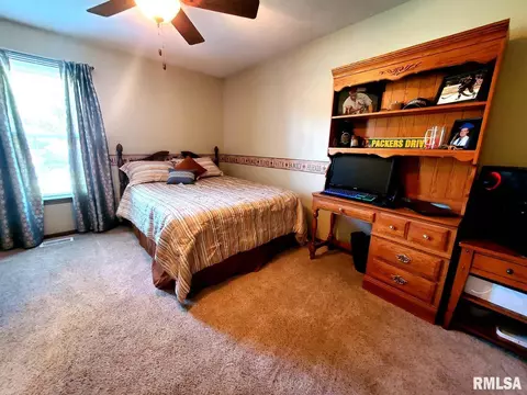 317 Aladar St, O'fallon, IL 62269 photo 35