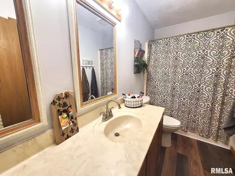 317 Aladar St, O'fallon, IL 62269 photo 37