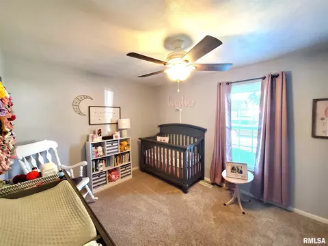 317 Aladar St, O'fallon, IL 62269 photo 30