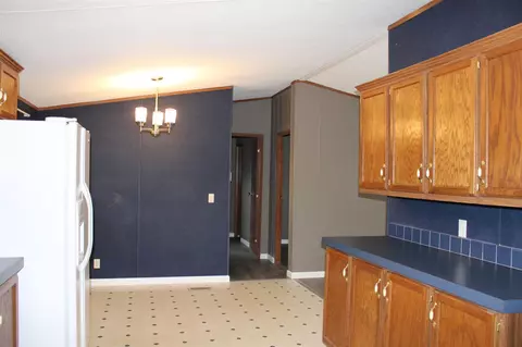 403 W Virginia Ave, Sandoval, IL 62882 photo 4