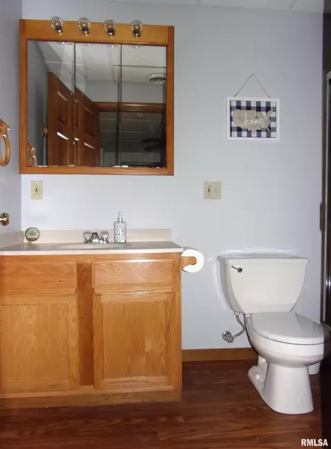 3379 Rainier Ln, Centralia, IL 62801 photo 19