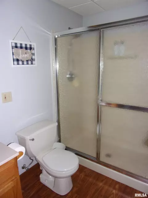 3379 Rainier Ln, Centralia, IL 62801 photo 20