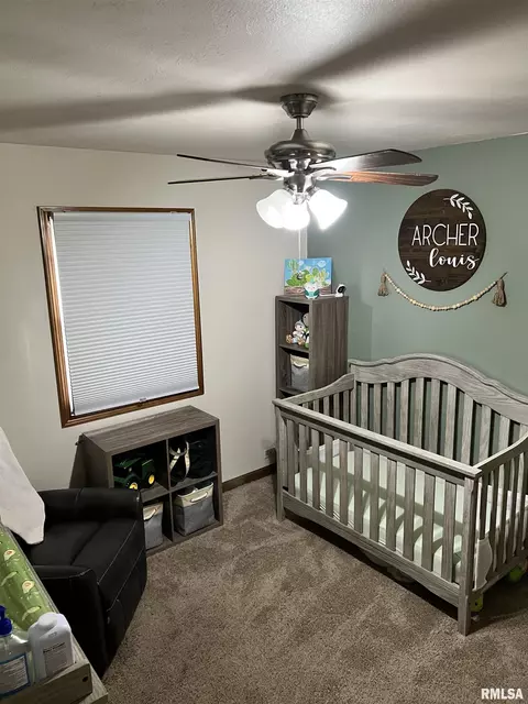 4002 Nation Rd, Salem, IL 62881 photo 13