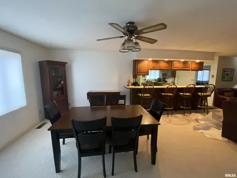 909 E Clark Trl, Herrin, IL 62948 photo 16