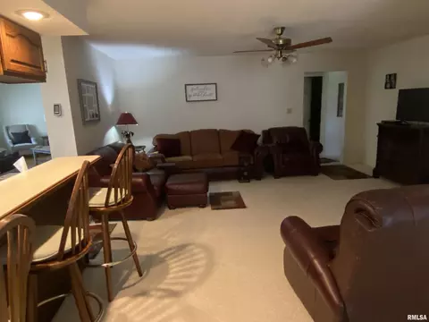 909 E Clark Trl, Herrin, IL 62948 photo 13
