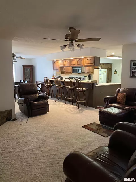 909 E Clark Trl, Herrin, IL 62948 photo 14